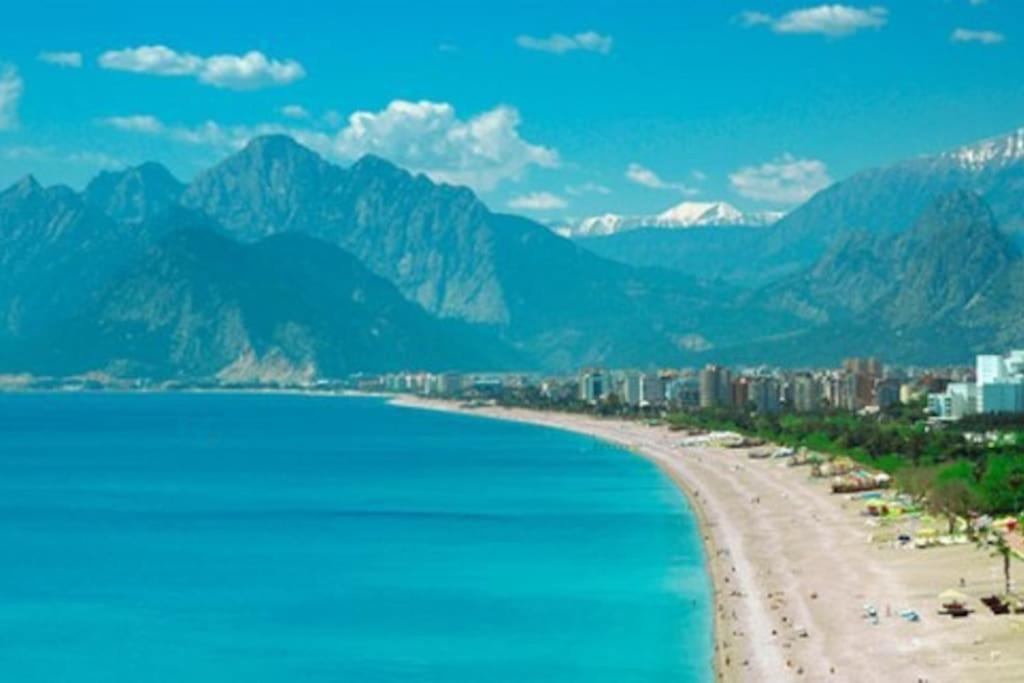 10 Location, Close To Beaches And Anywhere Apartment
